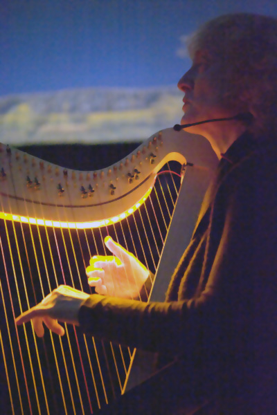 Christine Högl - Harp